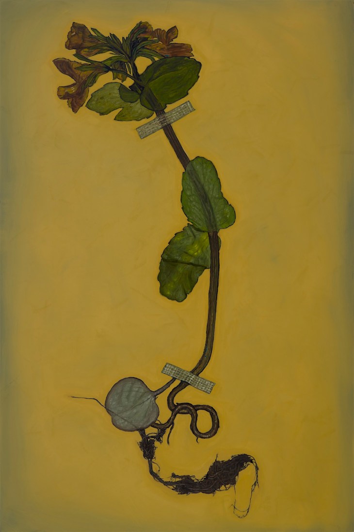 Alberto Rey 3-20-202034864 extinct plant 150