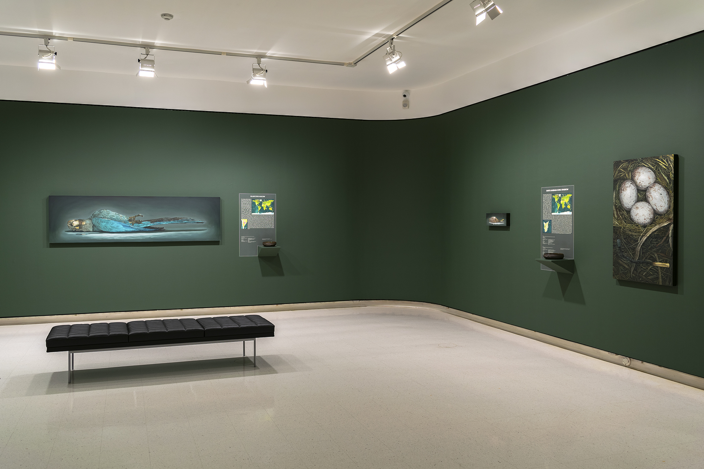 Alberto Rey, Lost Beauty I, 005 150