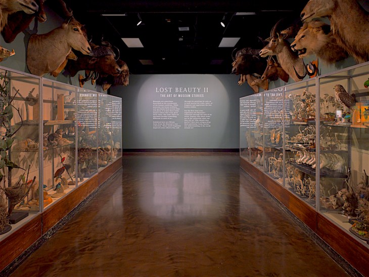 1 Alberto Rey Science Center 12-2142253